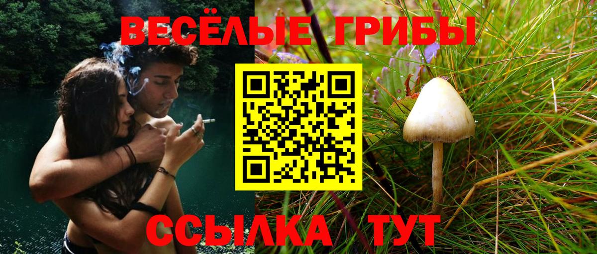 Ярцево  Галлюциногенные грибы мицелий  Вход с VPN  Псилоцибиновые грибы ЛСД 